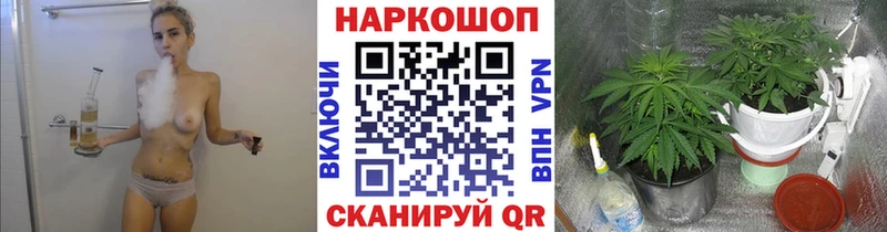 Как найти закладки Курганинск Гашиш  Alpha PVP  Мефедрон  Каннабис  АМФЕТАМИН  КОКАИН 