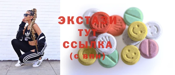 стаф Арсеньев