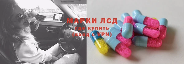 стаф Арсеньев