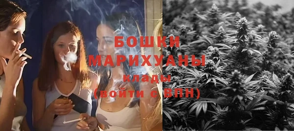 стаф Арсеньев
