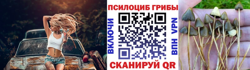MEGA онион  Курганинск  Галлюциногенные грибы прущие грибы 